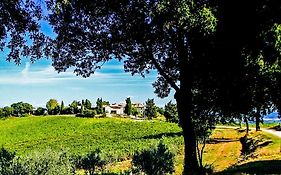 Fattoria La Torre