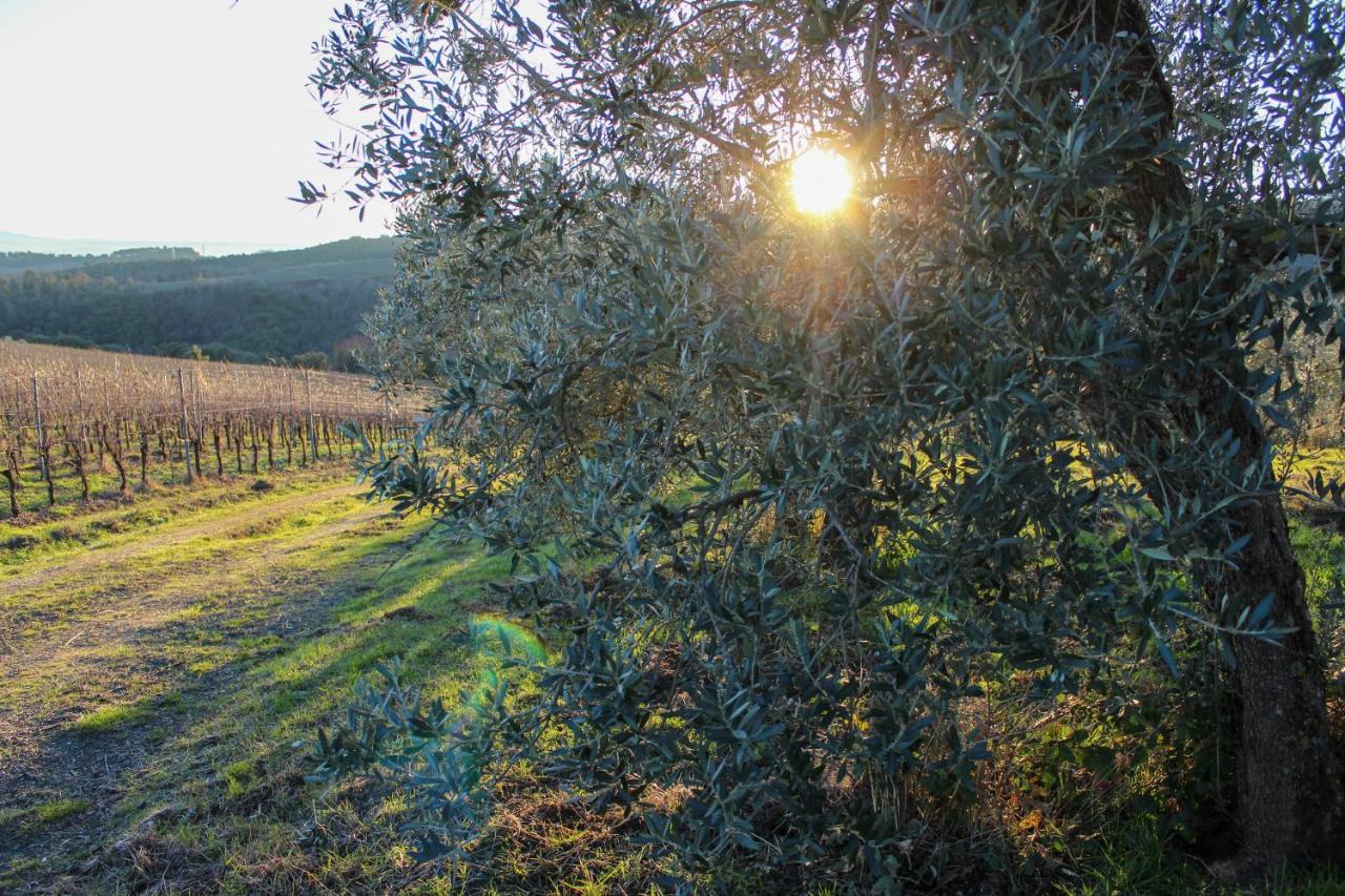 Appartement Fattoria La Torre à San Gimignano Extérieur photo